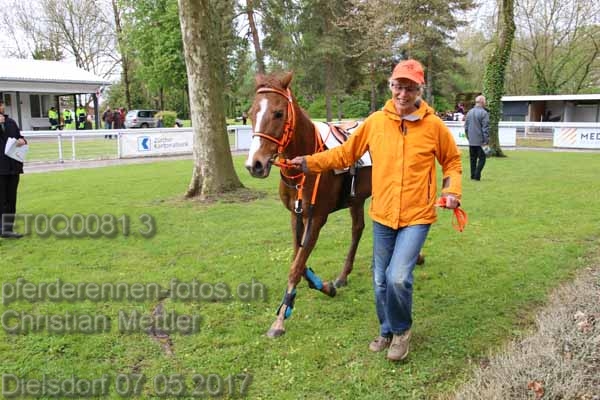 ET0Q0081.3 prot
